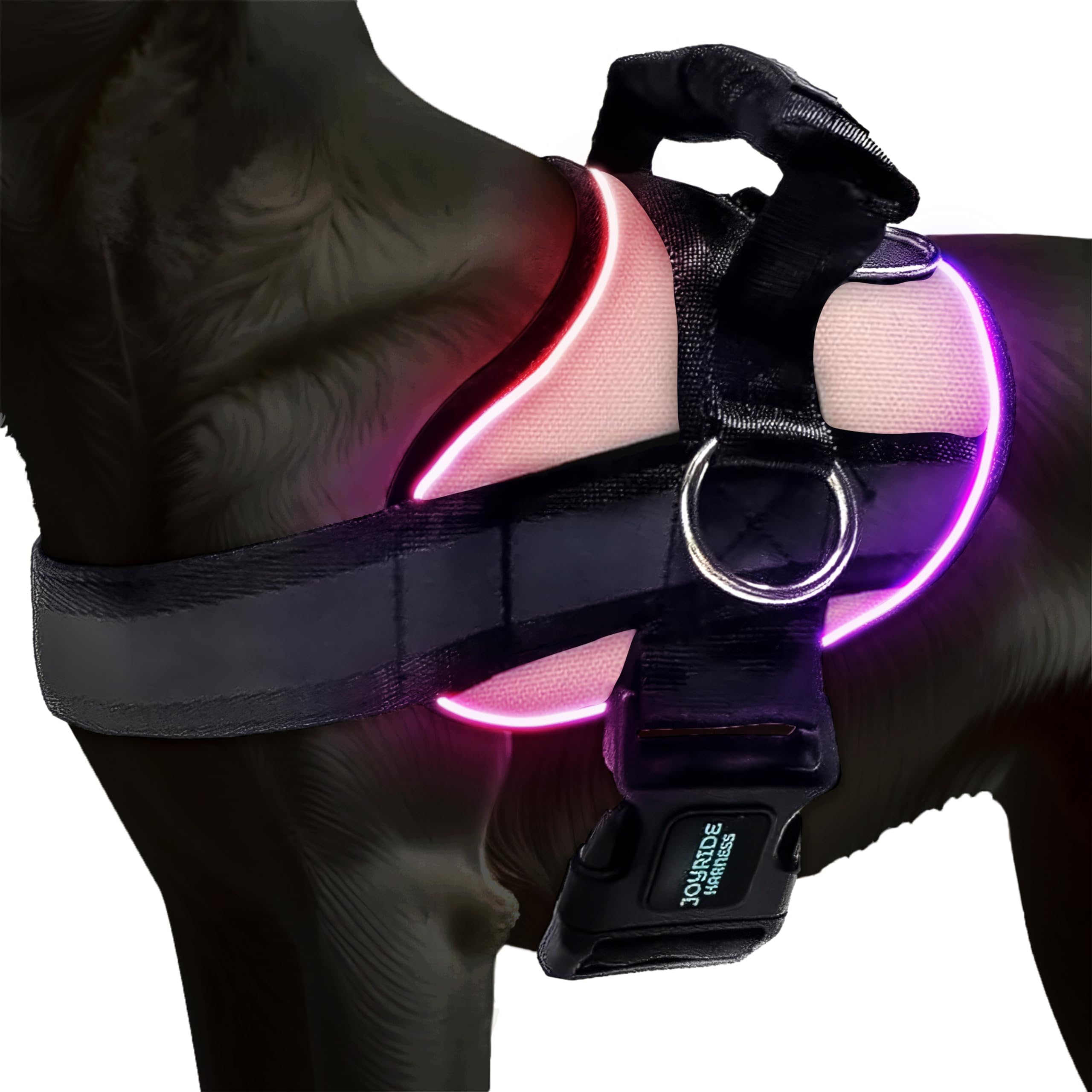 Joyride Harness LED light-up dog harness for night visibility during walks.