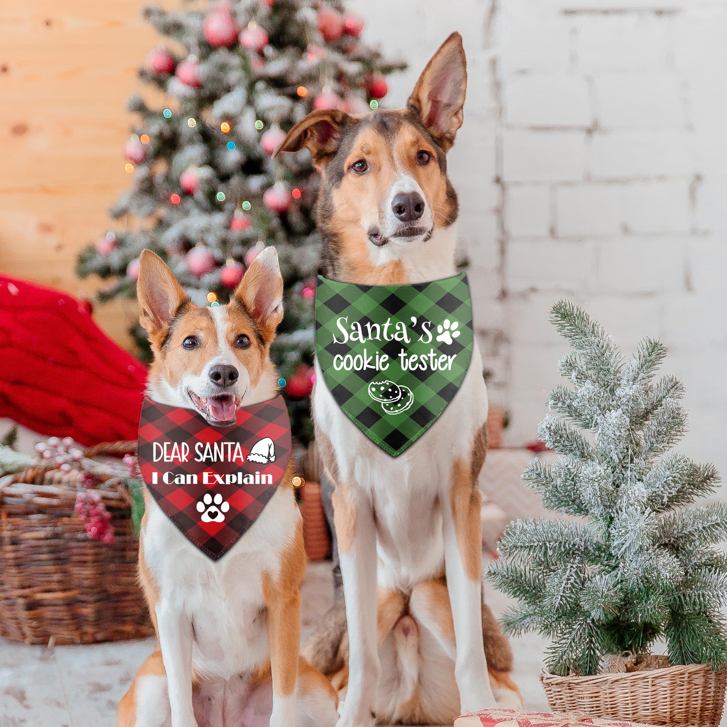 Joyriza Christmas dog bandana worn by a pup during photos and celebrations