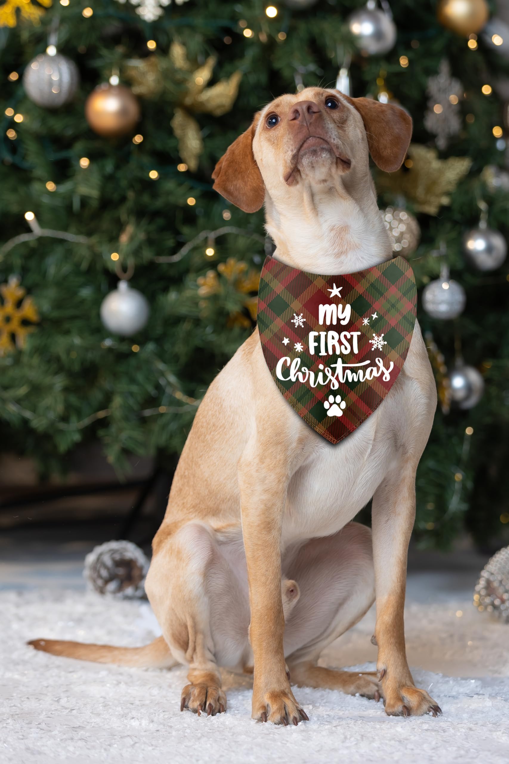 Joyriza soft polyester dog bandana highlighting breathable everyday wear