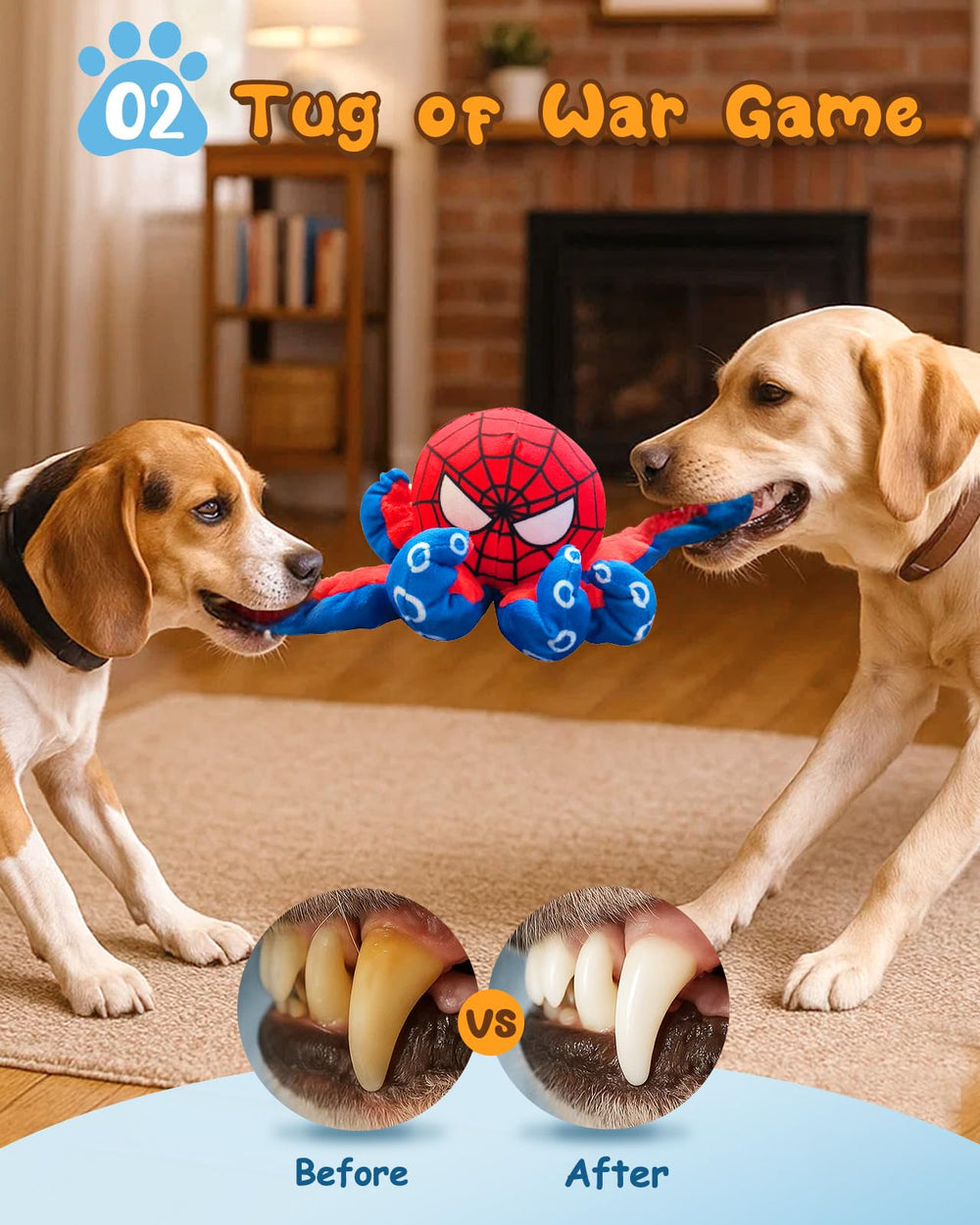 JoySolar interactive toy pack offers multiple textures for enrichment.