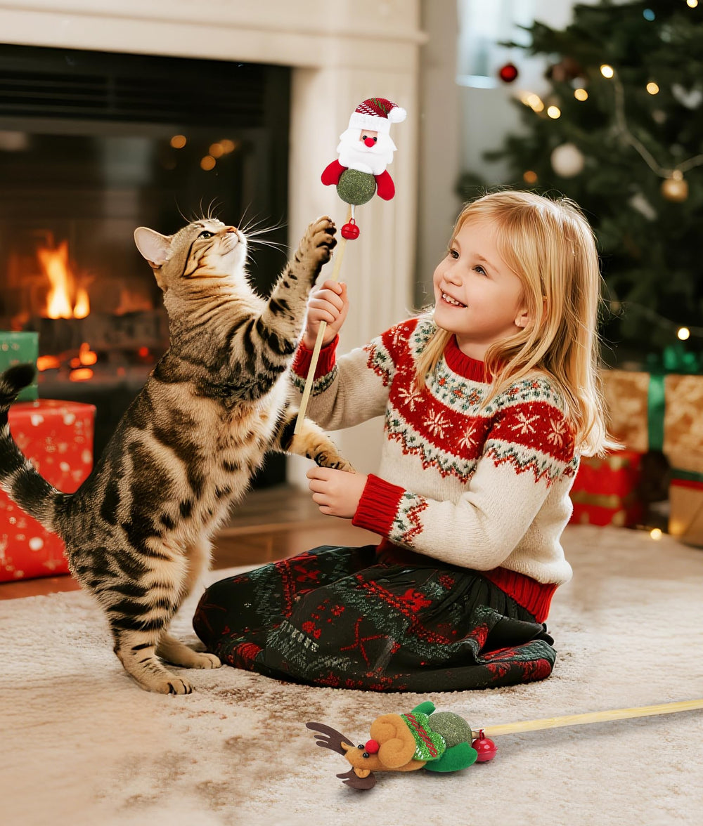 Joytale 2 pack christmas cat toys offers variety for longer play