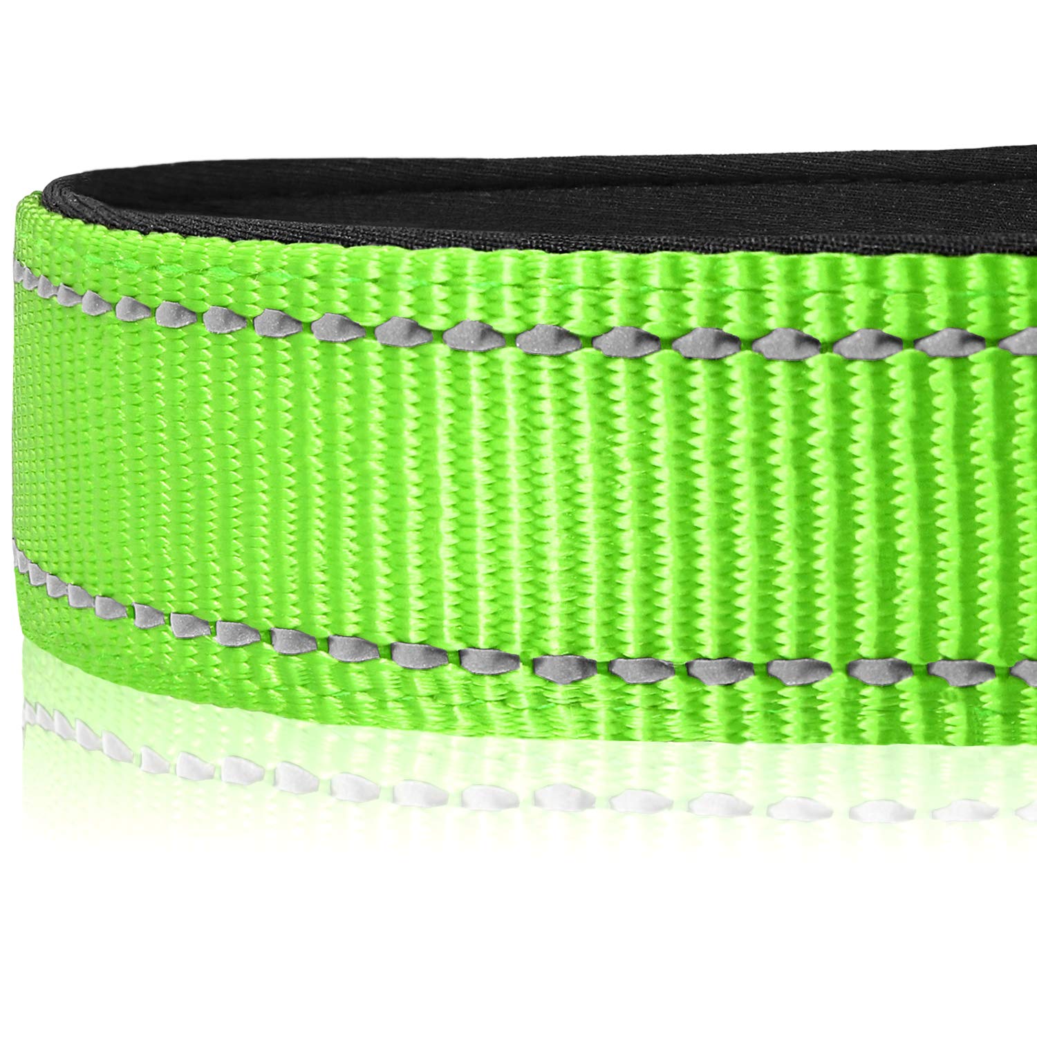 Joytale abs plastic buckle quick-release, easy on off for busy pet owners