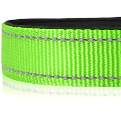 Joytale abs plastic buckle quick-release, easy on off for busy pet owners