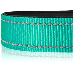 Joytale adjustable large teal collar emphasizing customizable fit for big dogs.