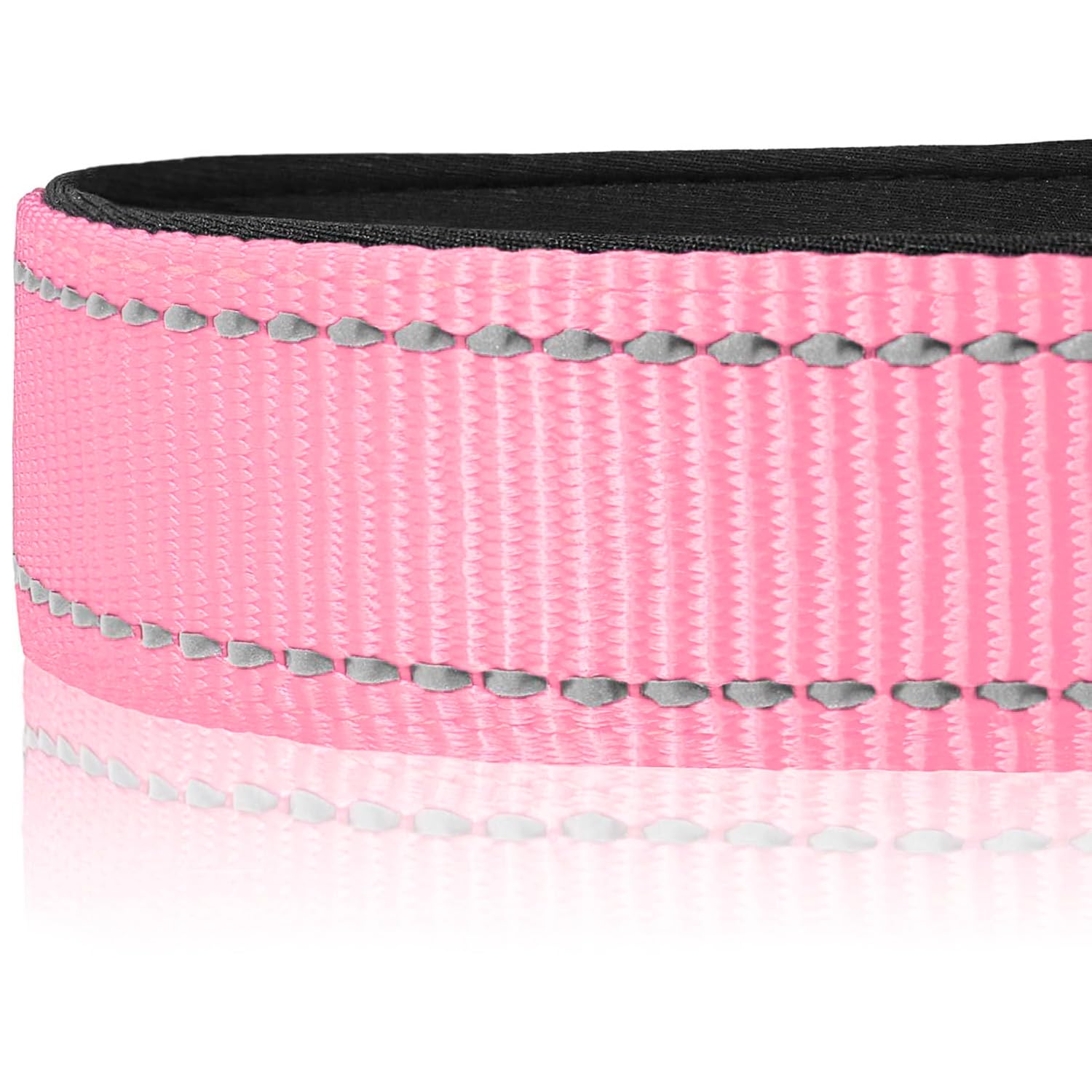 Joytale adjustable nylon dog collar ensures a snug, flexible fit for growing dogs