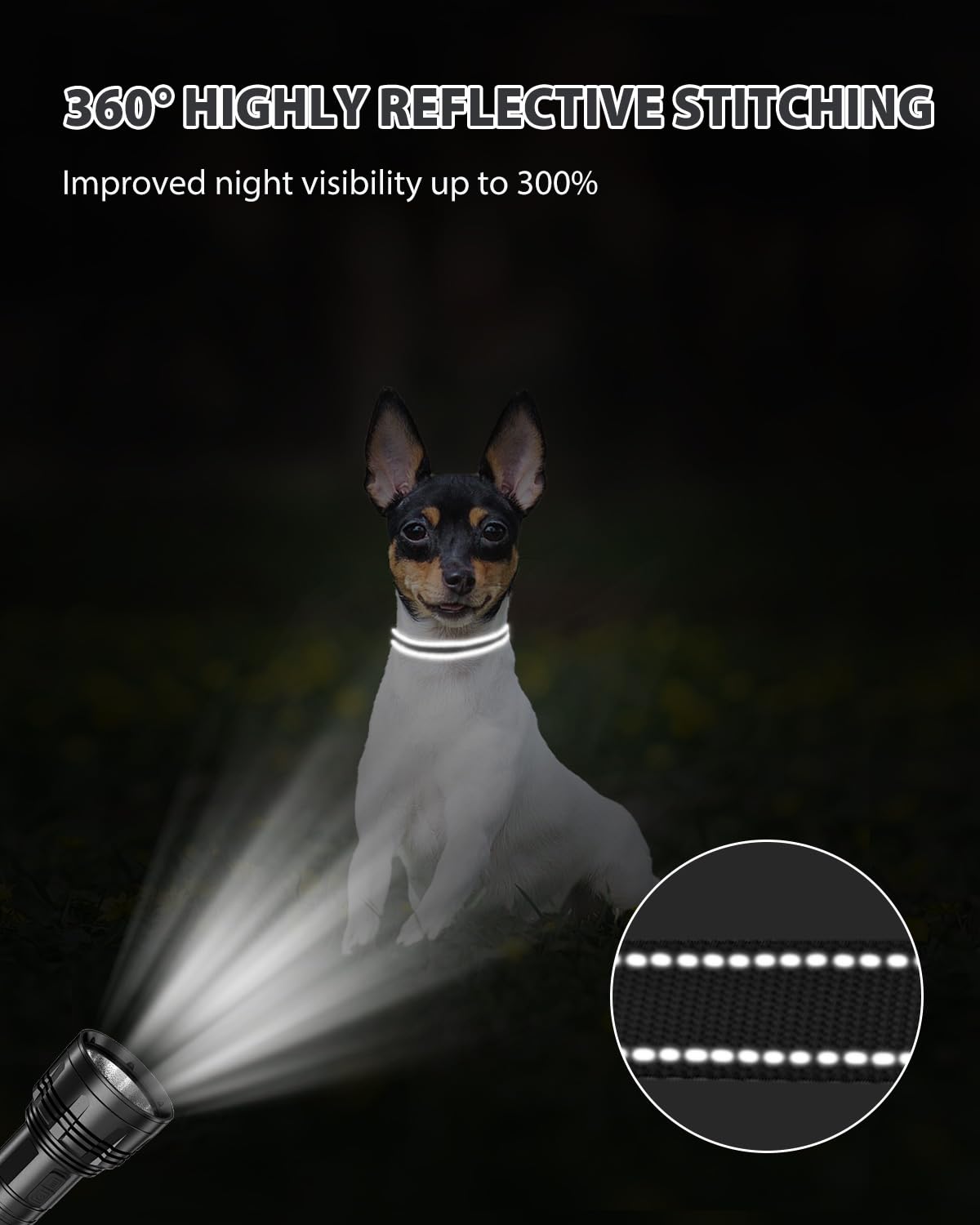 Joytale adjustable sizing fits puppies and growing dogs across sizes.