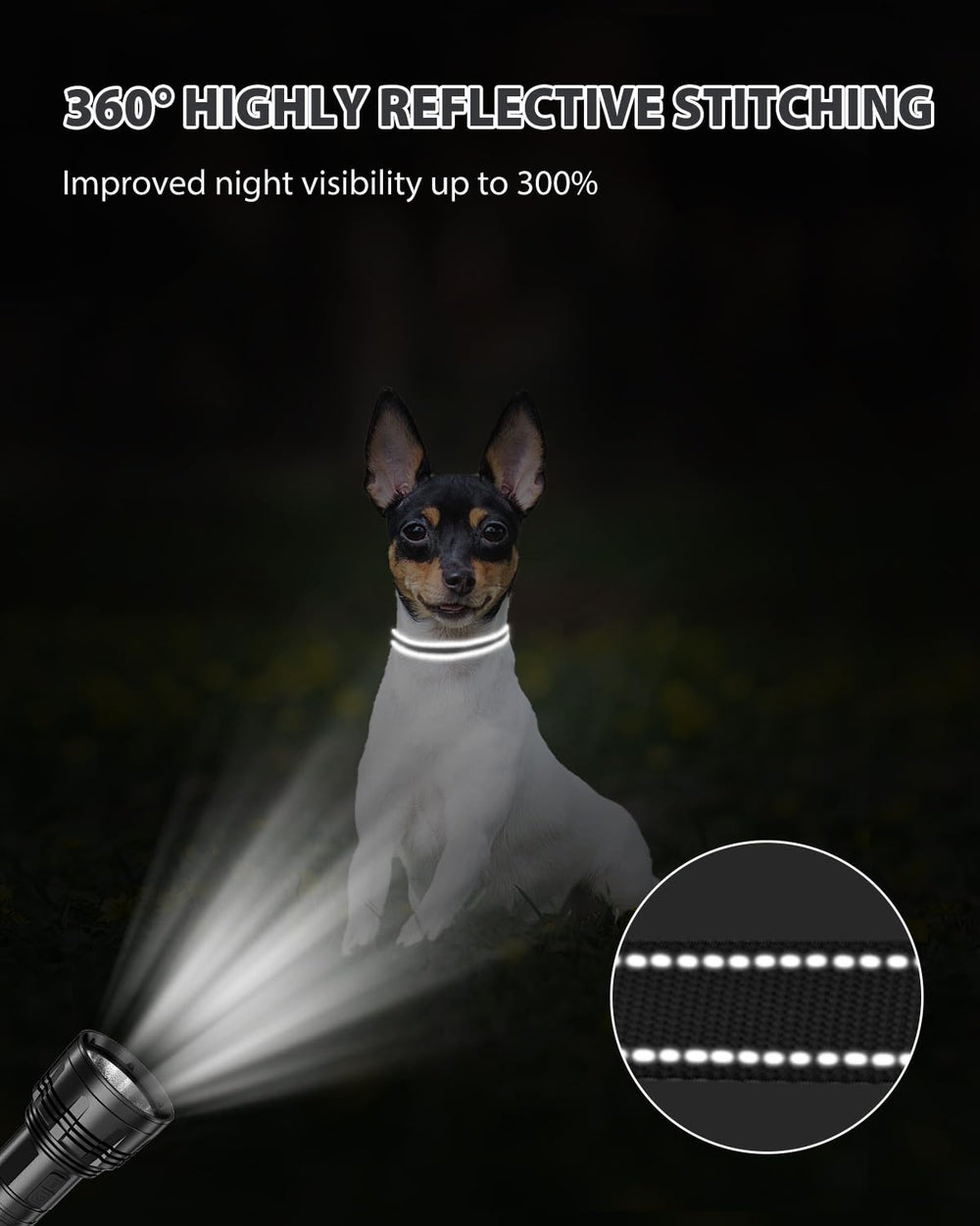 Joytale adjustable sizing fits puppies and growing dogs across sizes.