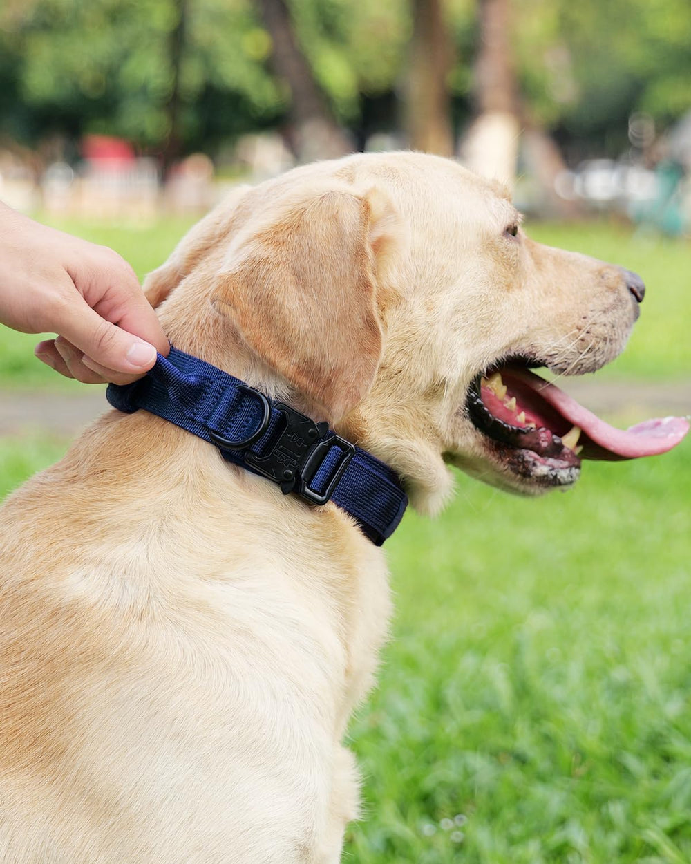 Joytale adjustable quick-release collar fits large dogs securely for improved control.