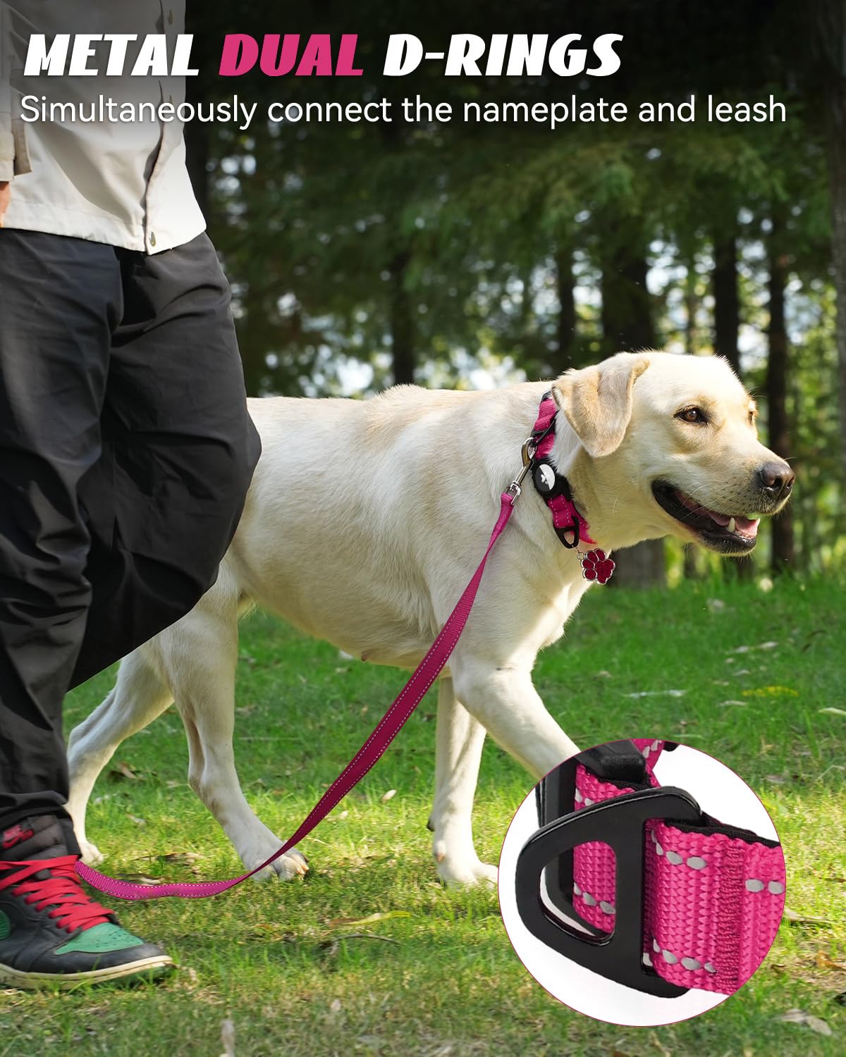 Joytale Airtag Dog Collar dual D-rings for leash and tag attachment