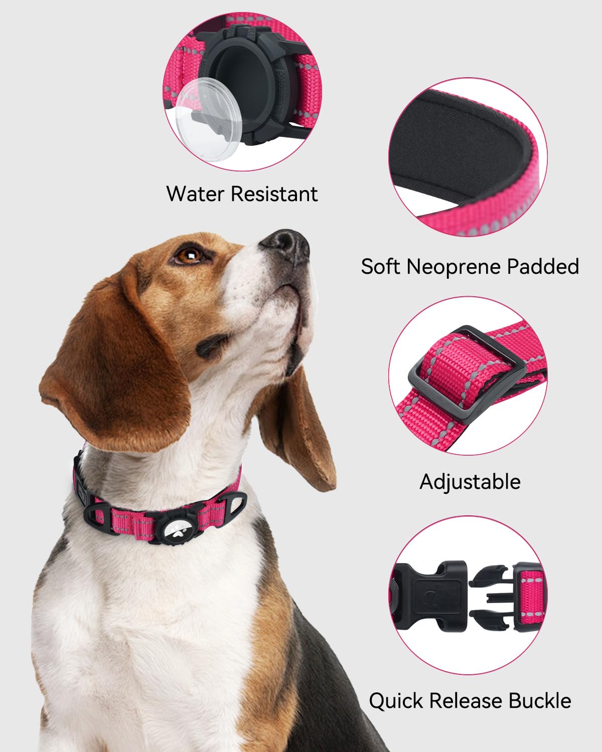 Joytale Airtag Dog Collar in use during a walk highlighting safety