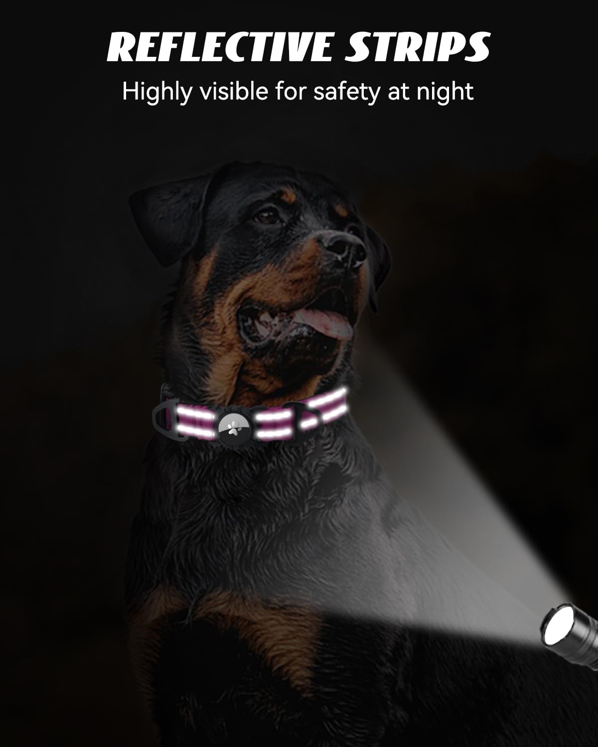 Joytale Airtag Dog Collar padded neoprene for comfortable wear