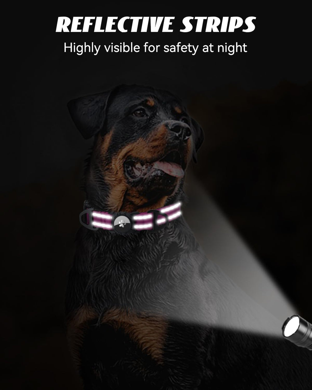 Joytale Airtag Dog Collar padded neoprene for comfortable wear