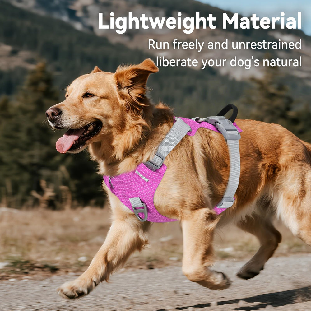 Joytale all-weather waterproof harness ready for rainy walks