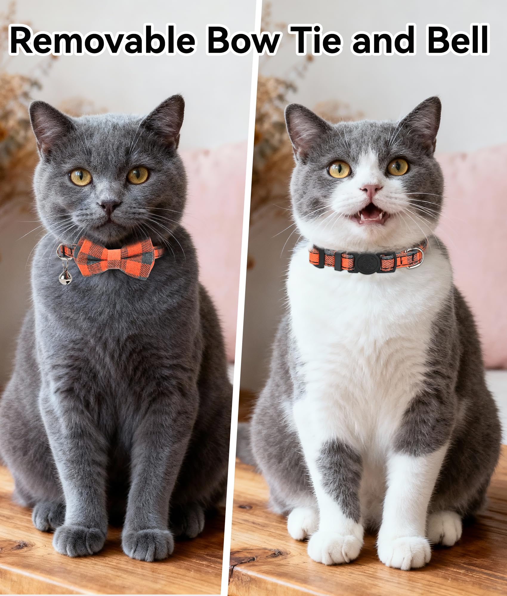 Joytale breakaway buckle cat collar highlighting quick safety release for active cats.