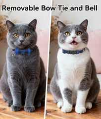 Joytale breakaway buckle cat collar enhances safety with quick release.