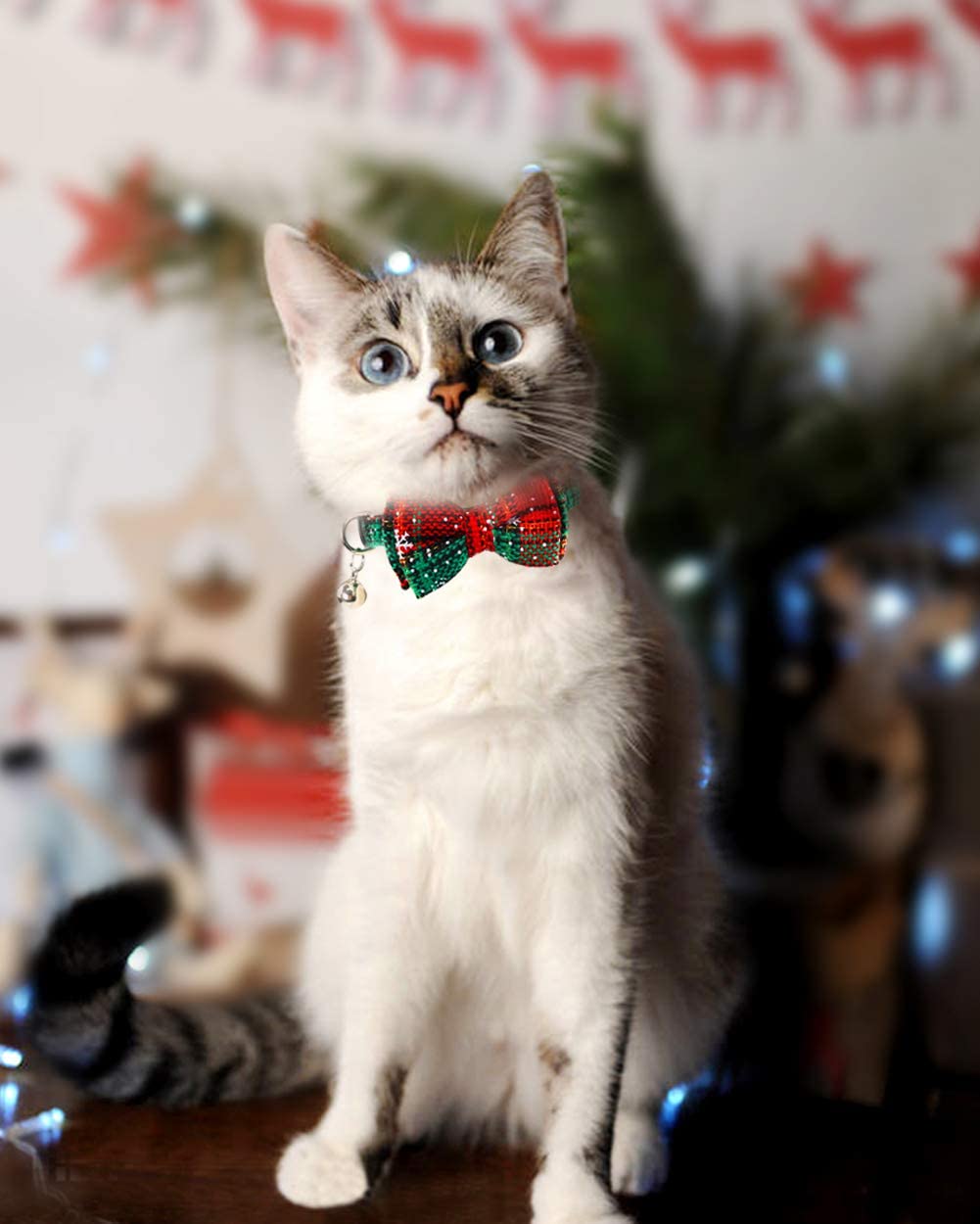 Joytale bells on collar provide audible cue for locating pets.