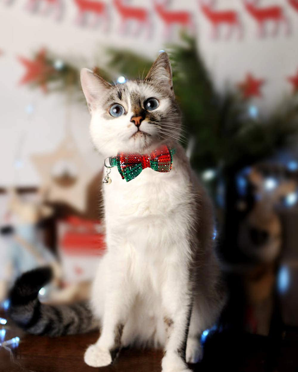 Joytale bells on collar provide audible cue for locating pets.