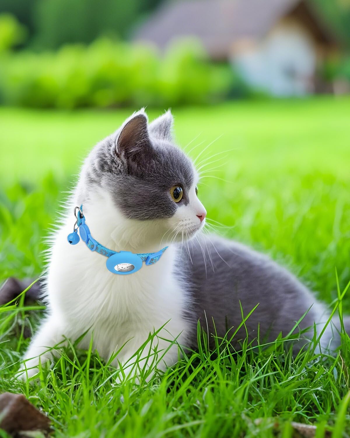 Joytale cat collar bell detail conveys gentle sound for indoor and outdoor awareness.