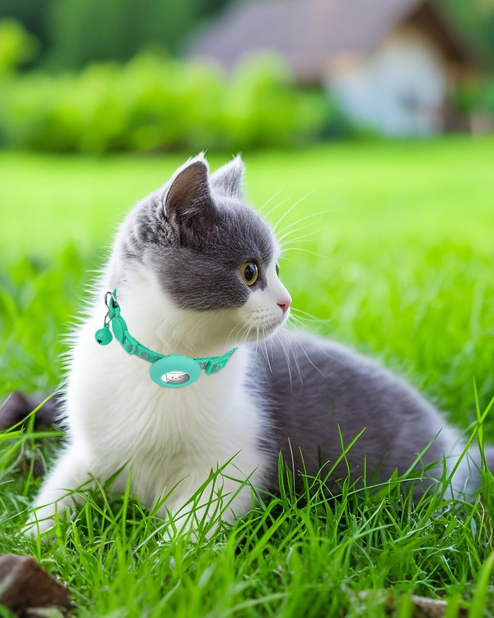 Joytale teal cat collar with bell close-up for audible location cues