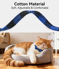 Joytale cat collar with removable bow tie adds playful style.