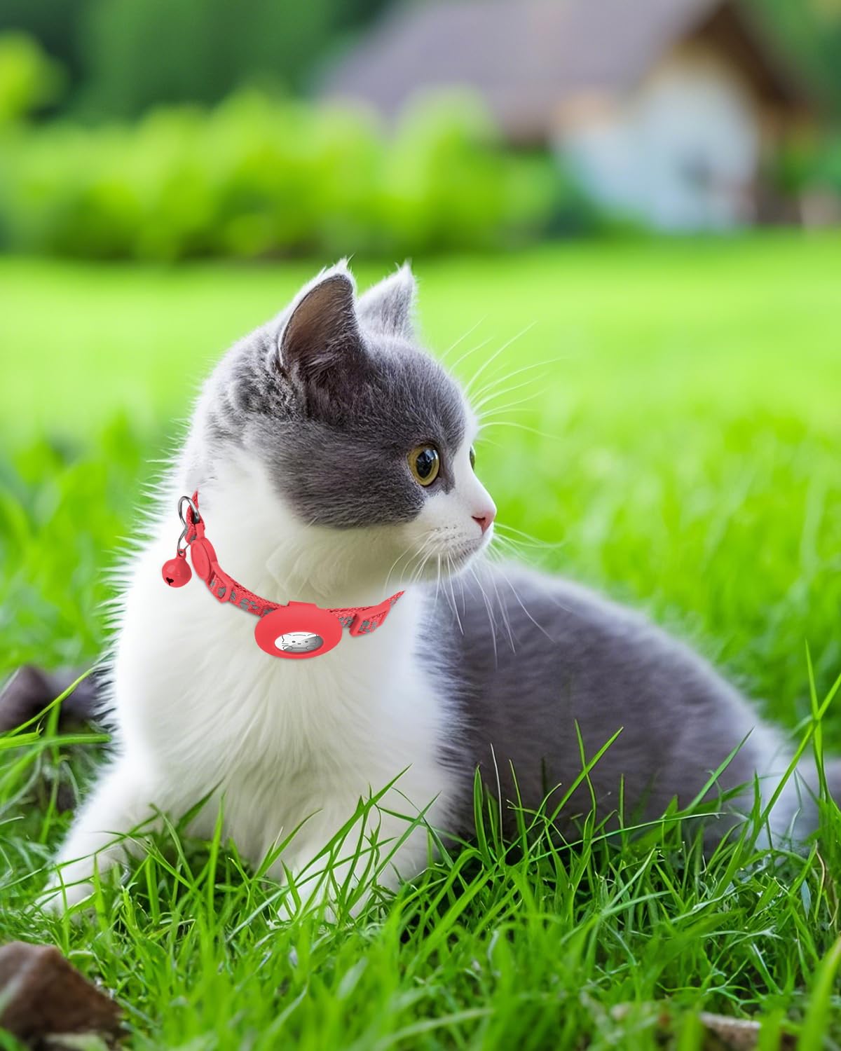 Joytale red cat collar with bell for easy identification