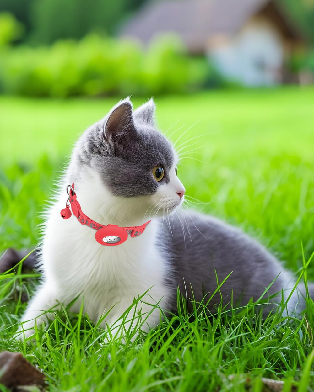 Joytale red cat collar with bell for easy identification