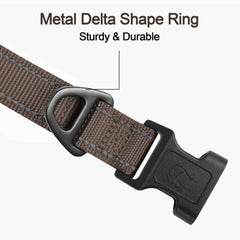 Joytale-d-ring-metal-weatherproof durable leash attachment for daily adventures.