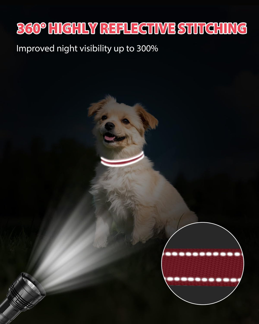 Joytale metal delta ring keeps leash and ID tags secure.
