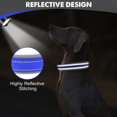 Joytale dog collar with a secure D-ring leash attachment for everyday walking.