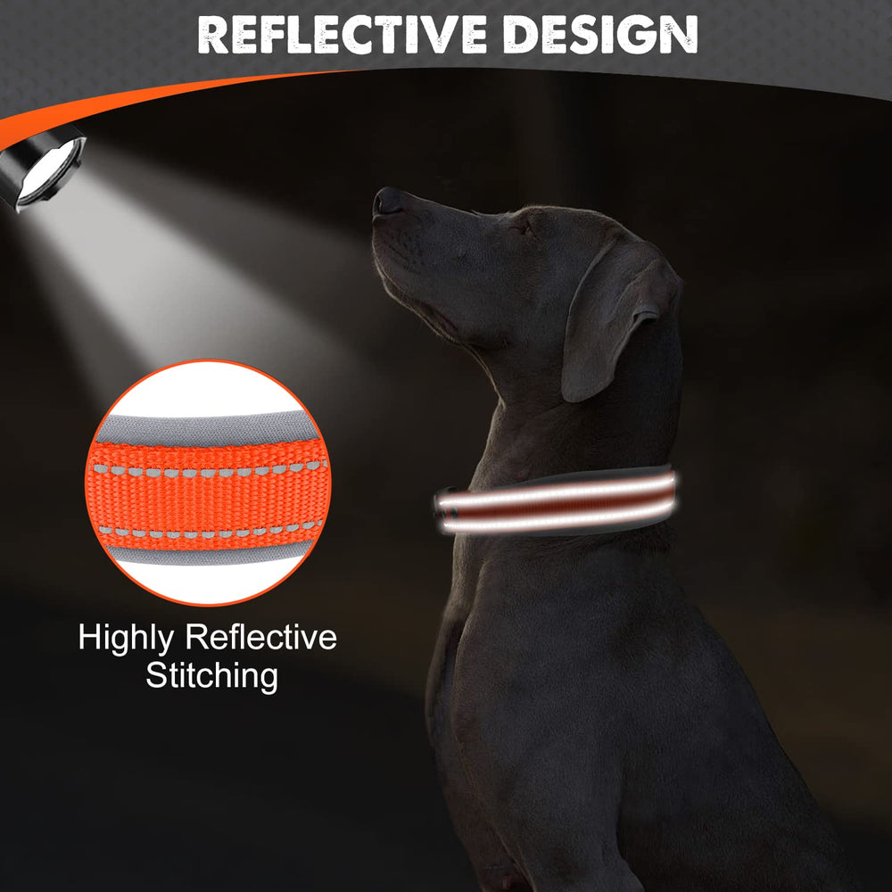 Joytale collar features sturdy D-ring for secure leash attachment.