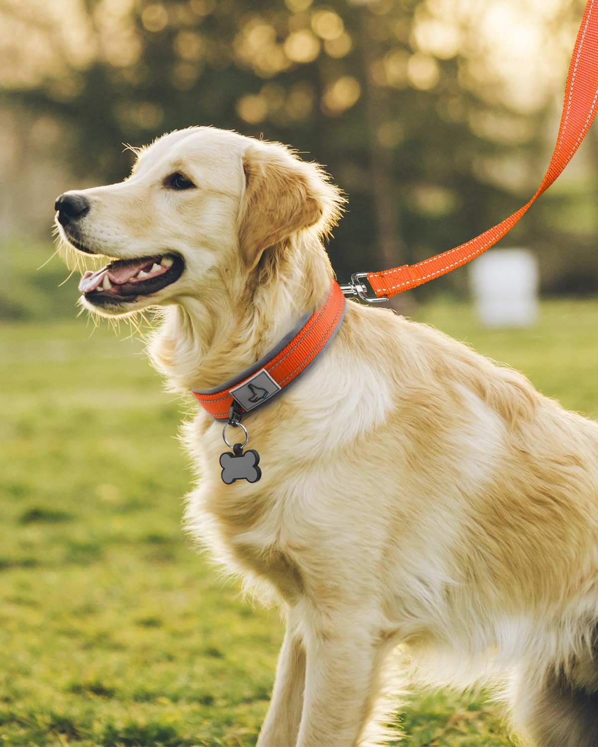 Joytale heavy-duty dog collar with durable metal belt buckle for active dogs.