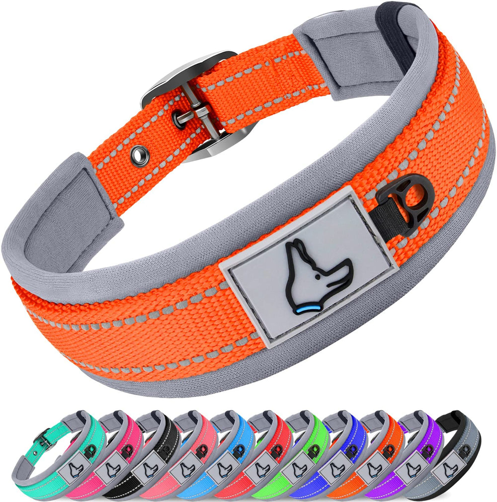 Joytale Dog Collar Large with Neoprene Padding delivers comfy wear for long walks.