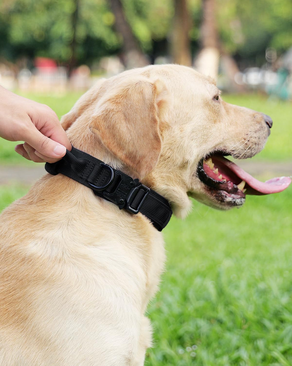 Joytale tactical collar in-use during training and walks for better control.