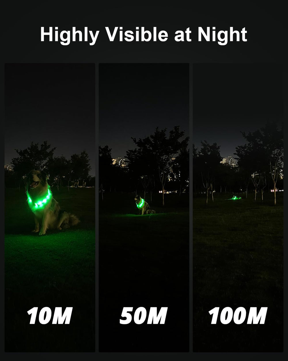 Joytale dog-collar rainproof-durable keeps your dog visible in any weather.