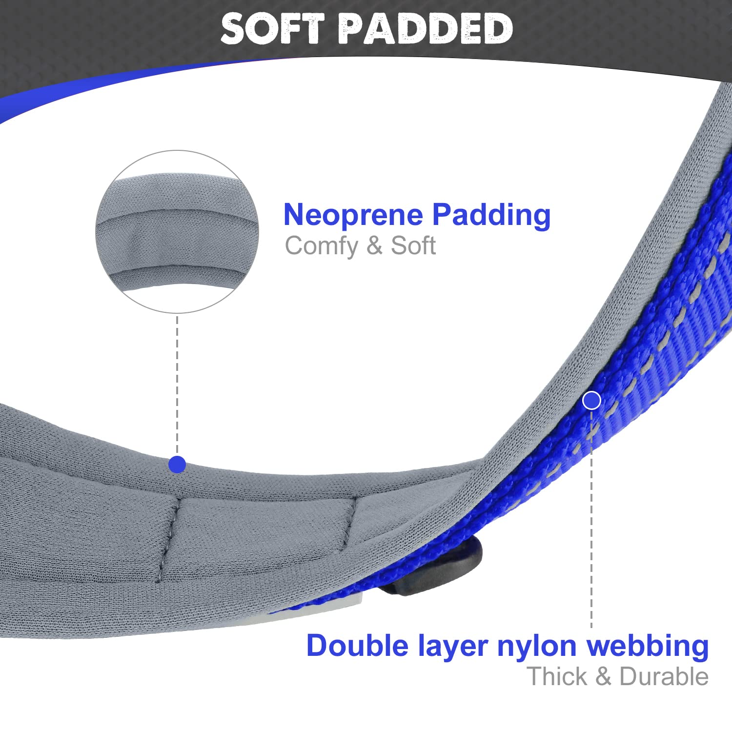 Joytale dog collar showing reflective stitching for safer night walks.