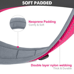Joytale dog collar shows reflective stitching for 360-degree visibility at night.