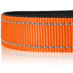 Joytale dog collar reflective threads boost nighttime visibility