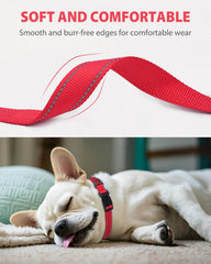 Joytale nylon collar with soft edges for all-day comfort.