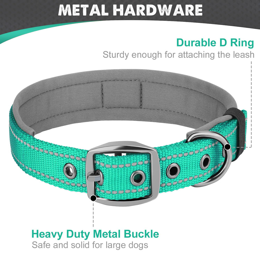 Joytale teal collar with sturdy D-ring and tag loop.