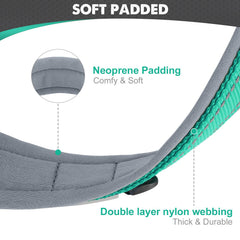 Joytale teal dog collar front view, designed for daily walking with reflective visibility.