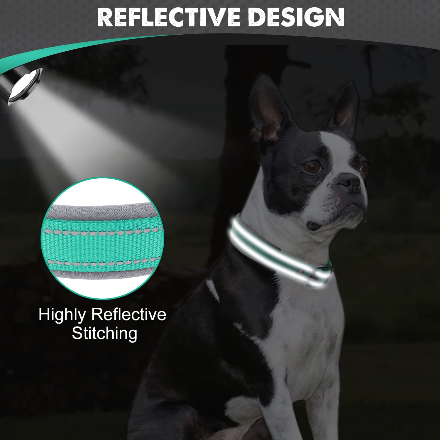 Joytale teal collar heavy-duty buckle for secure leash attachment.