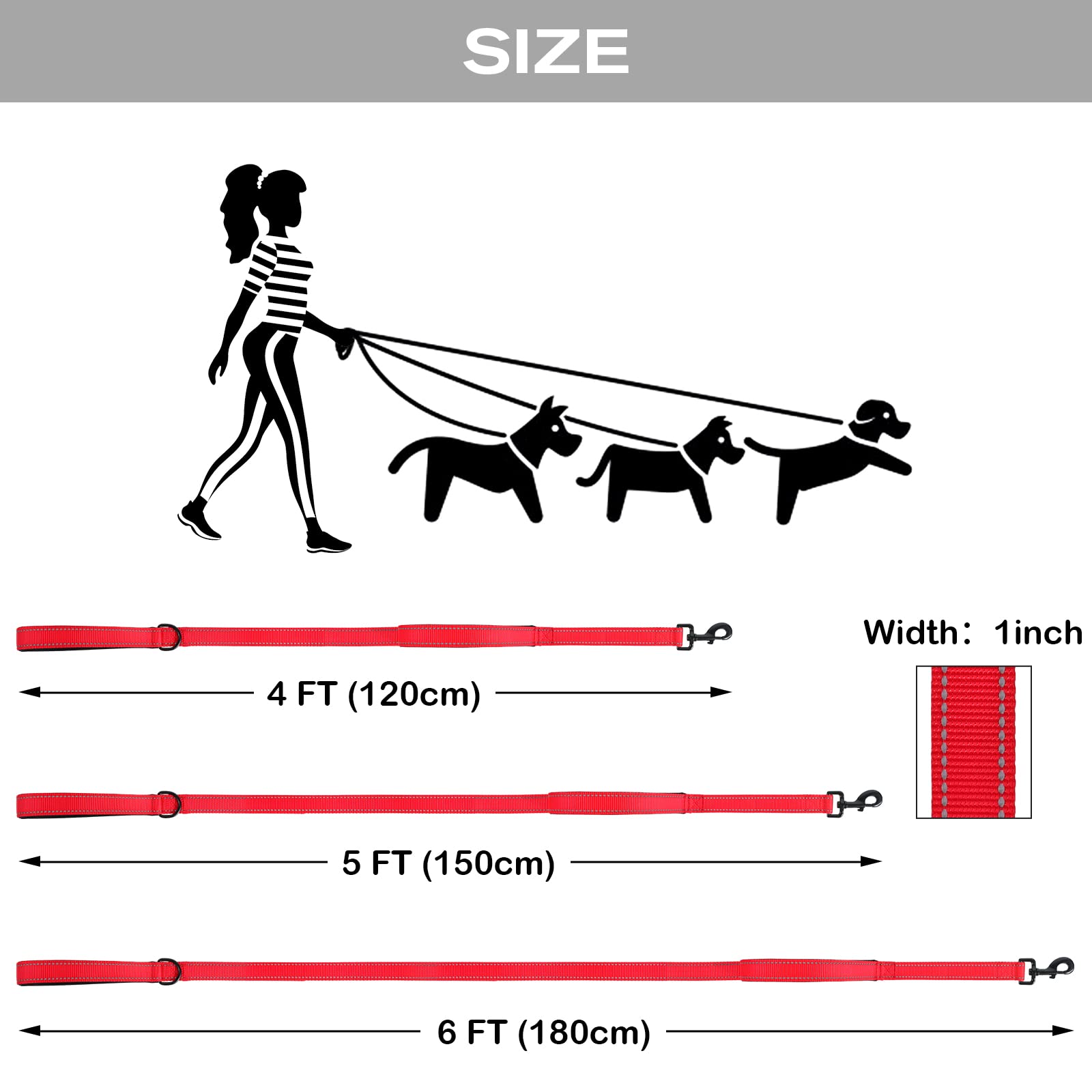 Joytale leash has a D-ring for accessories like bags and keys.