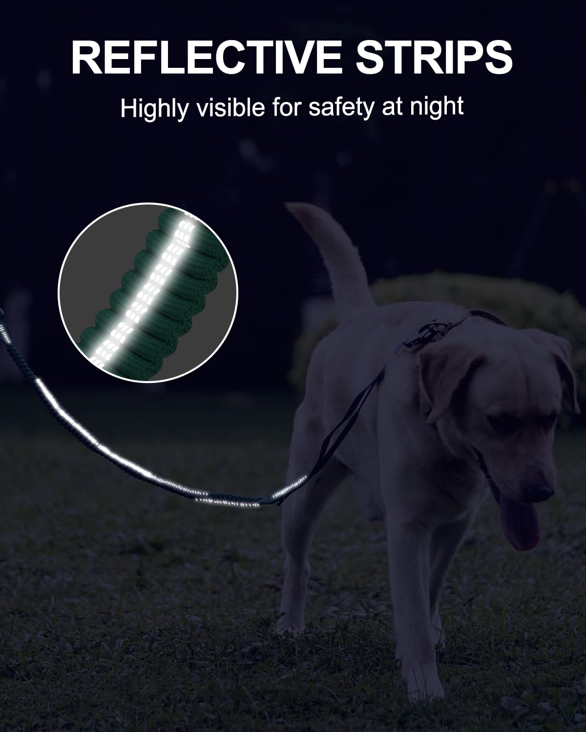 Joytale durable nylon construction withstands strong pulls from larger breeds.