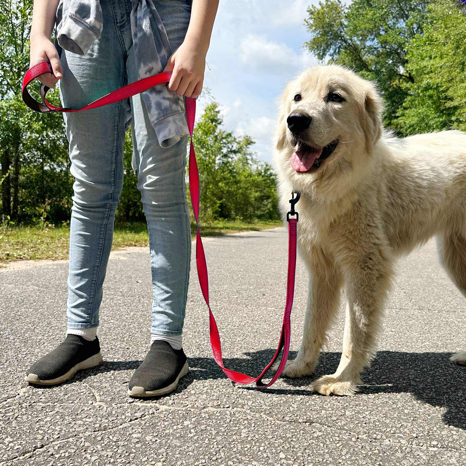 Joytale leash length and color options show versatile, comfortable fits.