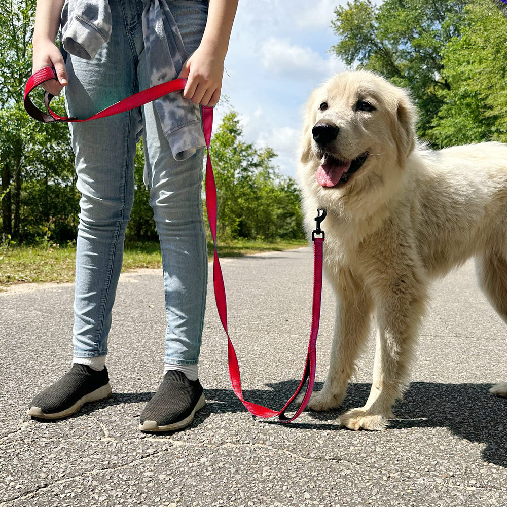 Joytale leash length and color options show versatile, comfortable fits.