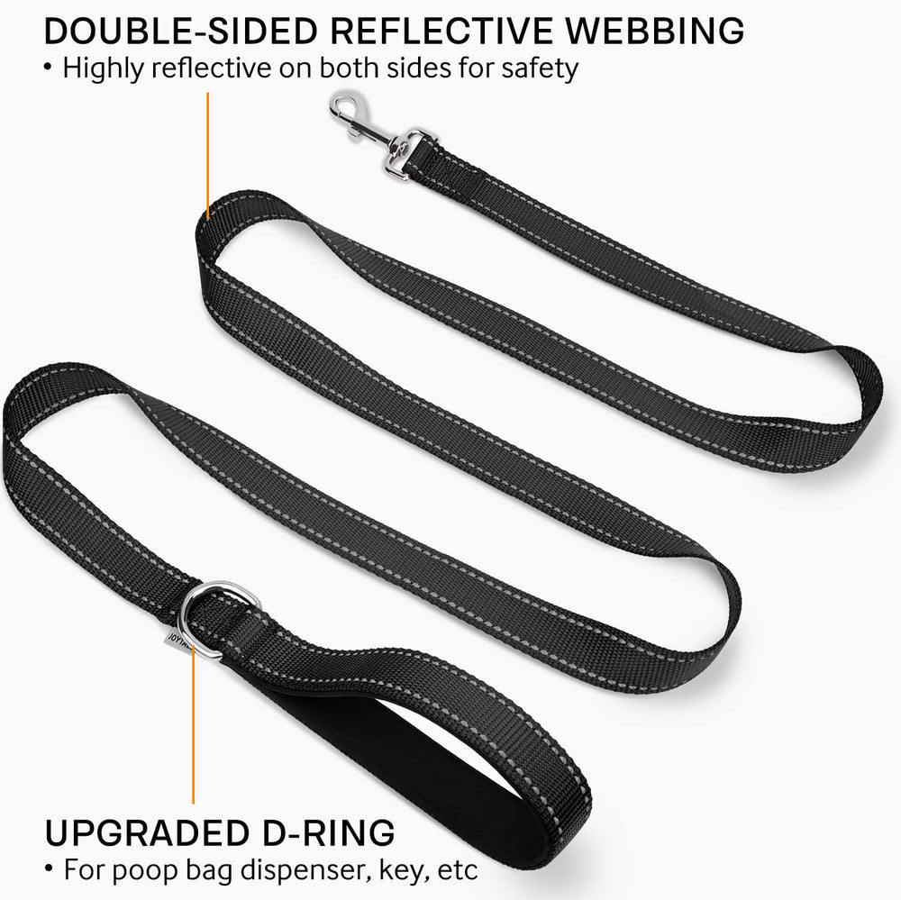 Joytale dog leash padded handle for comfortable control