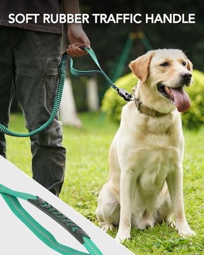Joytale reflective leash at night improves visibility for safer neighborhood walks.