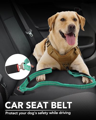 Joytale seatbelt-style feature keeps your dog secure during car trips.