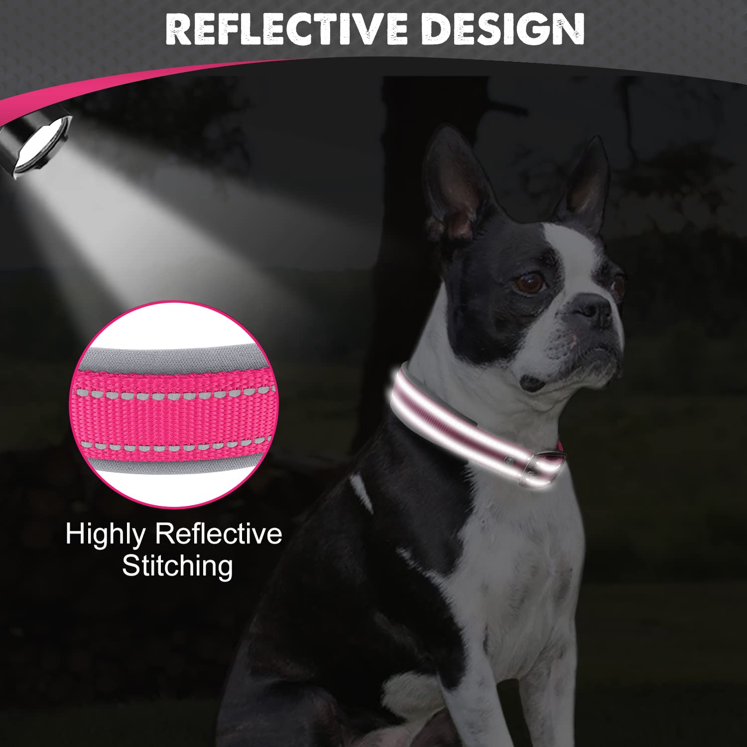 Joytale double-layer webbing collar withstands strong pulls during play