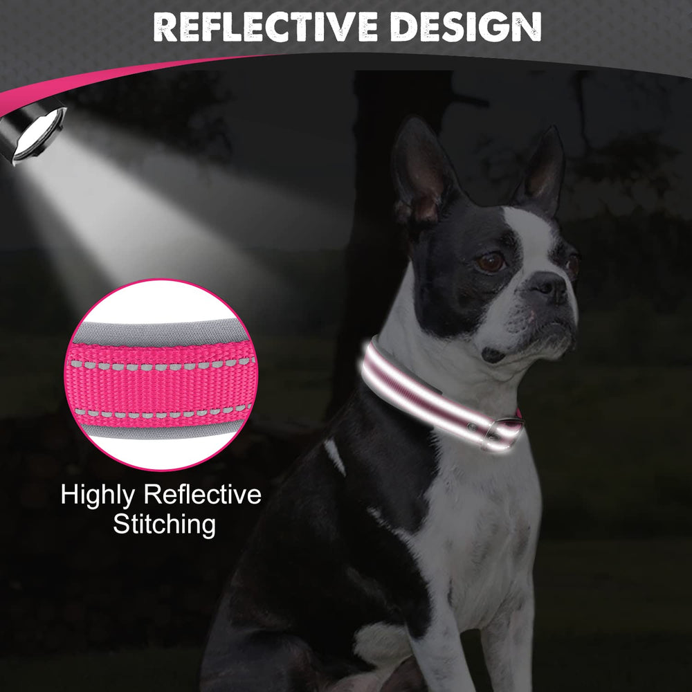 Joytale double-layer webbing collar withstands strong pulls during play